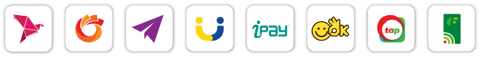 Bkash Payment (Send Money)